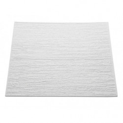 DALLE DE PLAFOND 2M² 1er PRIX