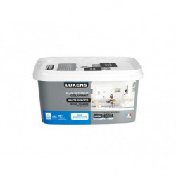 PEINTURE HAUTE OPACITE 5L...