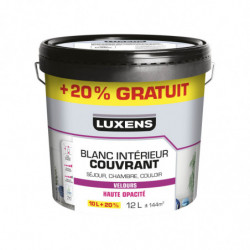 PEINTURE HAUTE OPACITE...