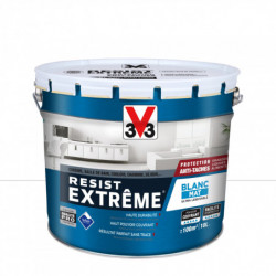 PEINTURE RESIST EXTREME...