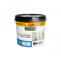PEINTURE TRAVAUX COURANTS...