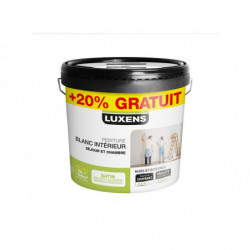 PEINTURE TRAVAUX COURANTS...