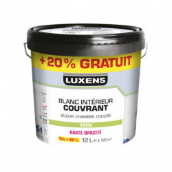 PEINTURE INTERIEUR HAUTE...