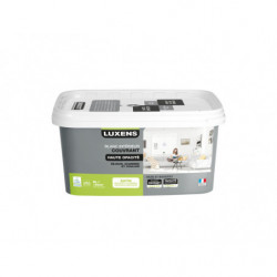 PEINTURE INTERIEURE BLANC...