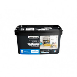 PEINTURE INTERIEURE ULTRA...