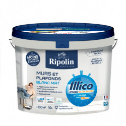 PEINTURE MURS&PLAFONDS...