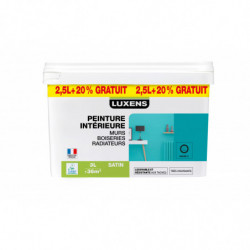 PEINTURE INTERIEURE MULTI...