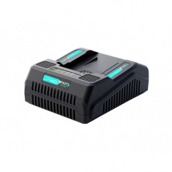 CHARGEUR RAPIDE POUR...