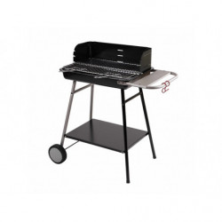 BARBECUE A CHARBON TORINO