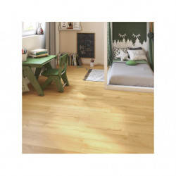 LOT DE 5 PLINTHES BLANC 2M