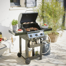 BARBECUE GAZ ALTON