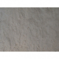 SIPHON GAIN DE PLACE A VISSER