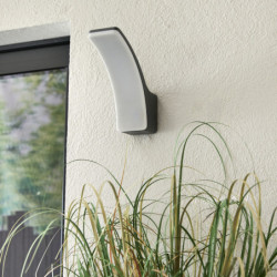 APPLIQUE MONTANTE LAKKO...