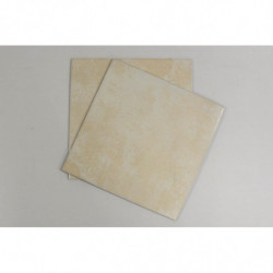 CARRELAGE SOL INTERIEUR...