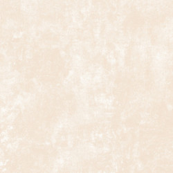 CARRELAGE EXTERIEUR 45X45...