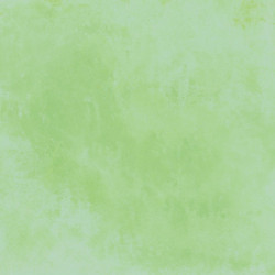 CARRELAGE SOL INTERIEUR...