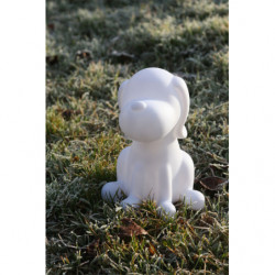 CHIEN SOLAIRE BLANC DOGGY