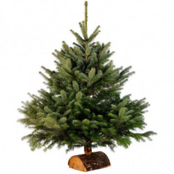 Nordmann coupé Classic 125-150