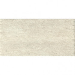 CARRELAGE SOL INTERIEUR...