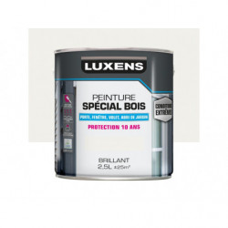 PEINTURE BOIS CONDITIONS...