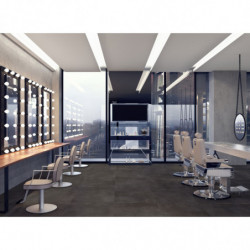 CARRELAGE EXTERIEUR 60x60...