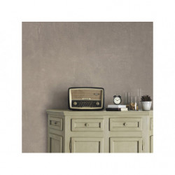 PEINTURE FACADE UNIVERSELLE...