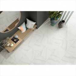 CARRELAGE SOL INTERIEUR...