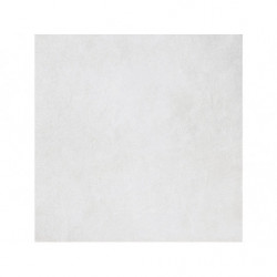 CARRELAGE SOL INTERIEUR...
