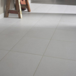 CARRELAGE SOL INTERIEUR...