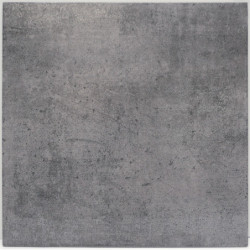 CARRELAGE SOL INTERIEUR...