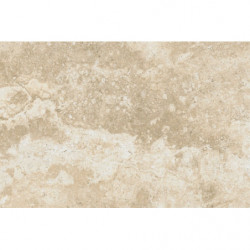 CARRELAGE SOL INTERIEUR...