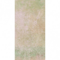 CARRELAGE INTERIEUR 30X60...