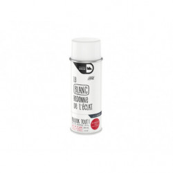 PEINTURE AEROSOL RELOOK...