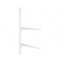 PACK DE 10 CONSOLES POUR...