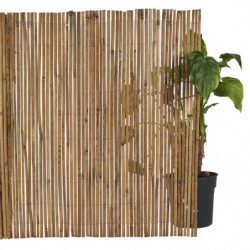 PEINTURE MURS BOISERIES...