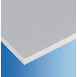 PLAQUE DE PLATRE BA10 2.5...