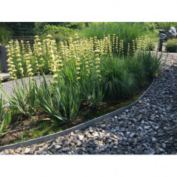 BORDURE PVC EN ROULEAU 10M