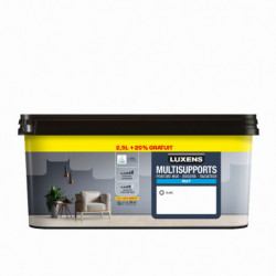 PEINTURE INTERIEURE MULTI...