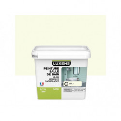 PEINTURE RENOVATION SALLES...