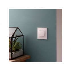 INTERRUPTEUR VA ET VIENT...